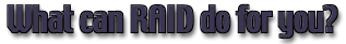 RAID Information